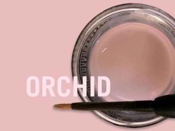 MiYO_pink_structure_orchid